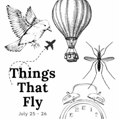 THINGS THAT FLY